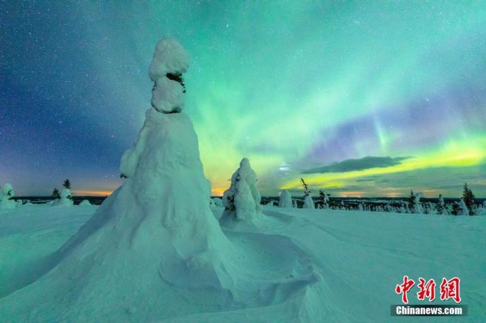 4月30日讯（具体拍摄时间），芬兰Riisitunturi国家公园，壮丽北极光下，森林树木被白雪覆盖。这一自然景象打造出美丽的蓝绿色天空。气温低至零下20摄氏度，高15英尺的树木完全被皑皑白雪覆盖。 图片来源：视觉中国
