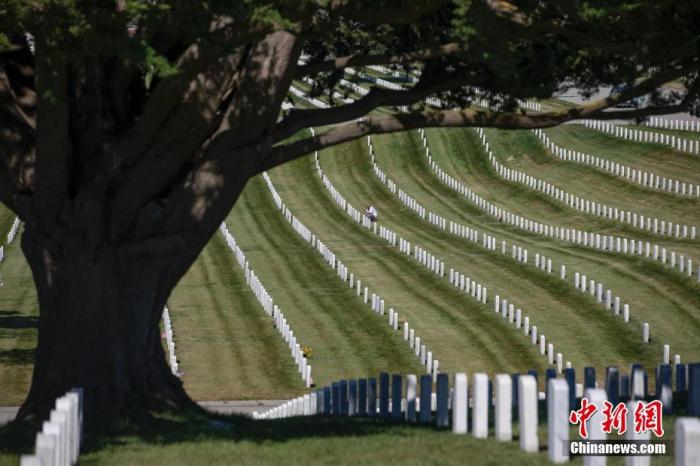 资料图：当地时间5月25日，正值美国将士阵亡纪念日，因为很多纪念活动以虚拟的方式举行，美国各地的国家公墓也比往年的同一天安静了许多。图为一名男子在位于旧金山湾区的金门国家公墓逗留。
<a target='_blank' href='http://www.chinanews.com/'>中新社</a>记者 刘关关 摄