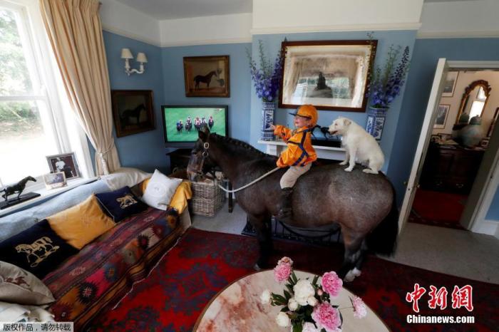 当地时间6月17日，英国皇家赛马会举行，由于受到新馆疫情的影响，赛马会改为现场转播。英国一名3岁的男孩在家里穿好马术服，骑着小马在客厅里观看马术比赛。