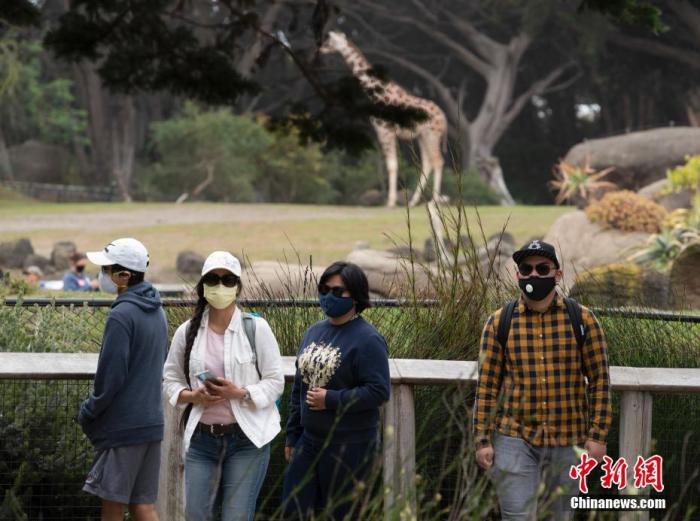 当地时间7月13日，游客在美国加利福尼亚州旧金山动物园参观。当日，这家动物园在关闭近四个月后重新开放。游客需提前预约，在游览期间要与他人保持“社交距离”，两岁以上的游客需佩戴口罩。
<a target='_blank' href='http://www.chinanews.com/'>中新社</a>记者 刘关关 摄