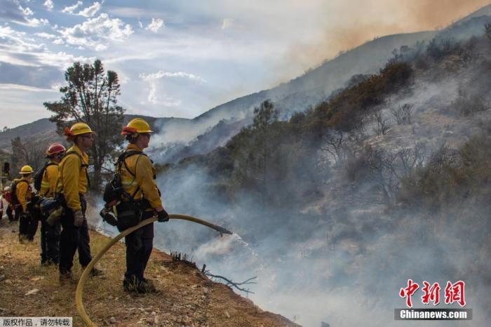 当地时间8月14日，美国加州洛杉矶休斯湖，消防员在火灾现场进行扑救。近日，多起山火正在美国加利福尼亚州境内燃烧，持续几日的高温也加剧火势的蔓延。