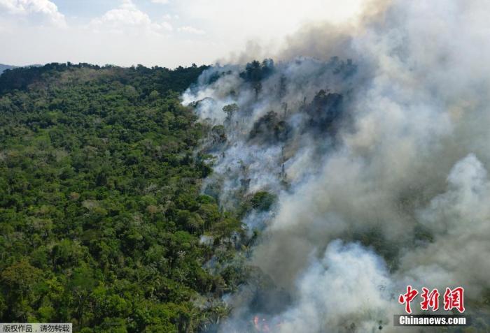 当地时间2020年8月16日，巴西帕拉州新普雷索以南的亚马孙雨林保护区火灾持续，浓烟滚滚。