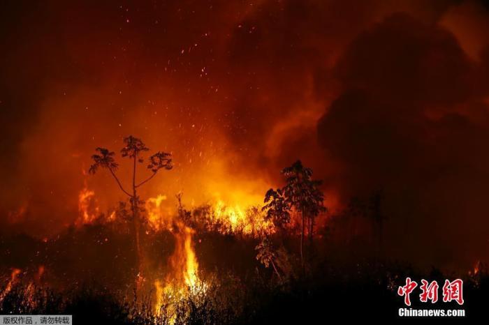 资料图：当地时间9月14日，巴西潘塔纳尔湿地山火持续蔓延。