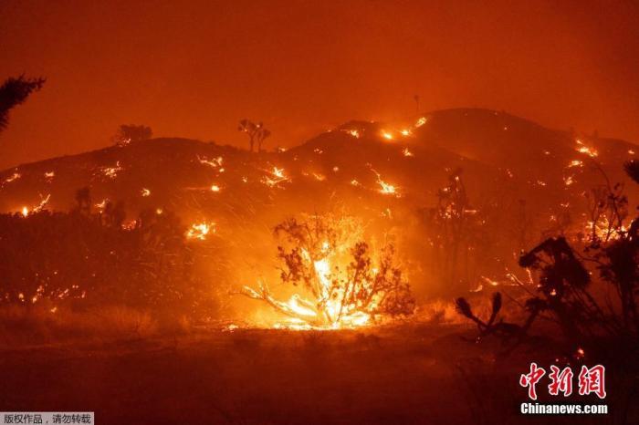 当地时间9月19日，持续数周的山火给美国尤其是西海岸各州部分民众的生活造成巨大影响。在这几个州中，情况最严重的是加利福尼亚。今年的山火已烧毁加州330万英亩土地，打破该州历史纪录。有17000名消防员正在加州参与灭火。目前美国10个州的87场大火燃烧，即将发生的火灾可能更加严重。
