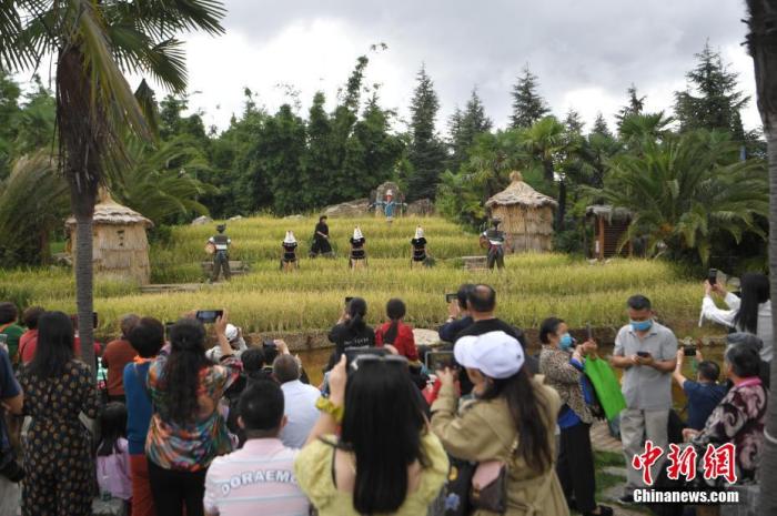10月2日，游客在云南民族村观看讲述哈尼族传统文化的实景表演。中新社记者 刘冉阳 摄