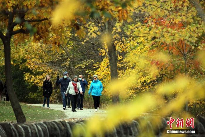 资料图：当地时间10月24日，加拿大多伦多，市民周末在市内一处公园漫步，欣赏秋色。
<a target='_blank' href='http://www.chinanews.com/'>中新社</a>记者 余瑞冬 摄