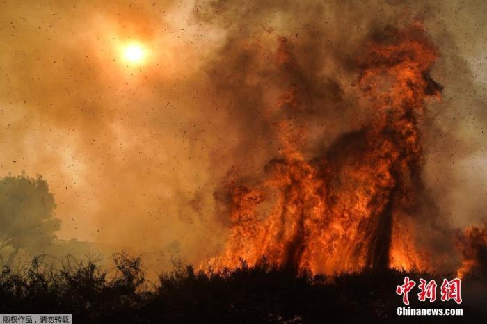 资料图：当地时间2020年10月26日，美国加州欧文市，Silverado大火迫使当地居民撤离。