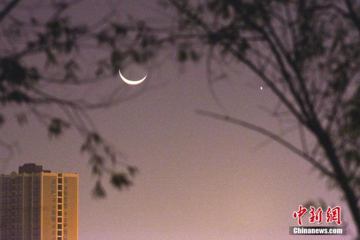 资料图：“金星合月”浪漫天象。 确·胡热 摄