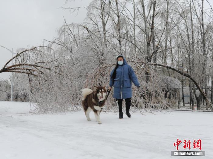 11月19日，吉林省长春市遭遇罕见冻雨天气，整座城市披上“冰装”。
中新社记者 刘栋 摄