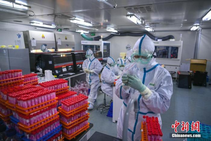 11月23日，工作人员对天津滨海新区核酸采样进行检测。
<a target='_blank' href='http://www.chinanews.com/'>中新社</a>记者 佟郁 摄