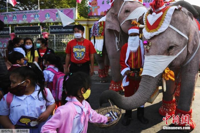 资料图：当地时间2020年12月23日，泰国大城府，驯象师装扮成圣诞老人骑在做同样装扮的大象上街为儿童们分发圣诞礼物。每年来自阿尤提雅大象宫殿的大象与驯象师都会扮做圣诞老人的样子为附近民众分发圣诞礼物，受疫情影响，今年的圣诞礼物改为口罩。