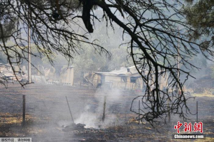 当地时间1月25日，澳大利亚阿德莱德，山火过后，当地部分房屋和树木被烧毁，一片焦土。