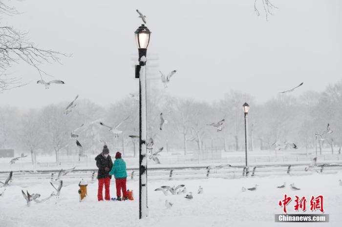 资料图：当地时间2月7日，美国纽约连日降雪，市民在科罗娜公园玩雪。
<a target='_blank' href='http://www.chinanews.com/'>中新社</a>记者 廖攀 摄