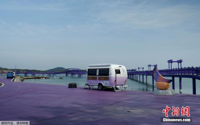 当地时间3月9日，韩国新安郡”紫色岛”。