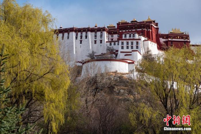 西藏布达拉宫贝叶经保护：从“号脉”研究到数字信息采集