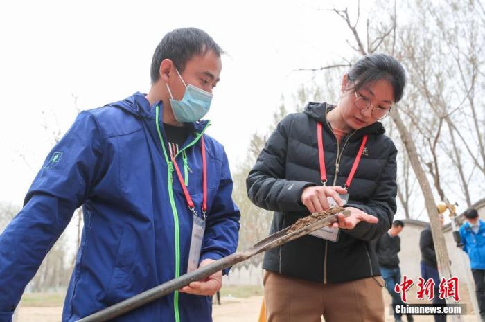 4月1日,琉璃河遗址考古发掘现场负责人分析土层的年代。位于北京市房山区的琉璃河遗址是西周时期燕国的都城和始封地,现存西周时期的夯土城墙、城内遗存和墓葬区。琉璃河遗址距今逾三千年历史,是目前北京地区可追溯到的最早的城市文明源头,被誉为“北京城之源”。近日,该遗址的考古调查、勘探、发掘工作取得了重要成果,首次在城内发现结构清晰、内涵丰富的成规模夯土建筑基址。
中新社记者 贾天勇 摄 4月1日,琉璃河遗址考古发掘现场负责人分析土层的年代。位于北京市房山区的琉璃河遗址是西周时期燕国的都城和始封地,现存西周时期的夯土城墙、城内遗存和墓葬区。琉璃河遗址距今逾三千年历史,是目前北京地区可追溯到的最早的城市文明源头,被誉为“北京城之源”。近日,该遗址的考古调查、勘探、发掘工作取得了重要成果,首次在城内发现结构清晰、内涵丰富的成规模夯土建筑基址。
中新社记者 贾天勇 摄