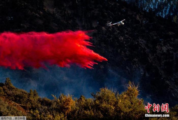资料图：当地时间4月5日，美国加州瓦耶莫市一片国家森林发生火灾。图为一架飞机撒下灭火剂。