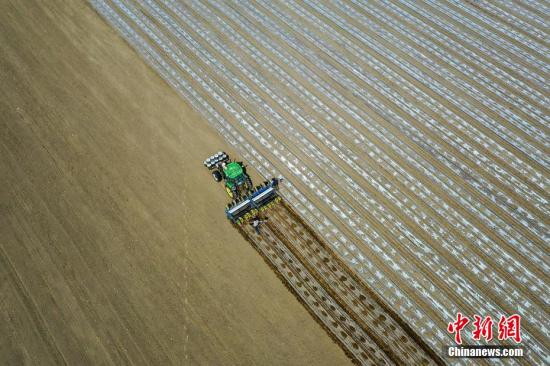 Xinjiang backs firms' growth, counters U.S. sanctions