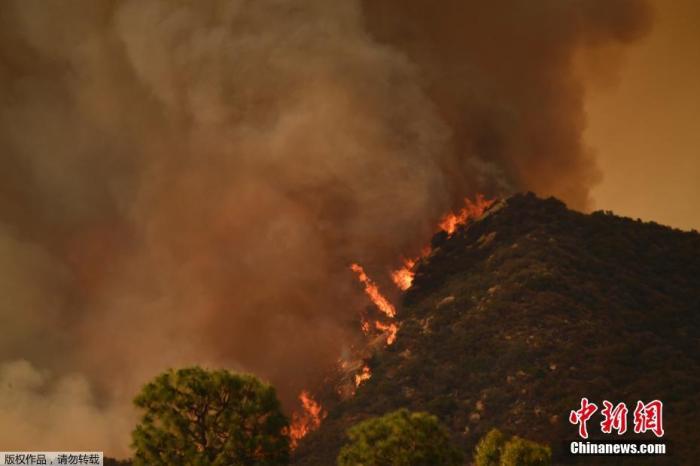 当地时间5月15日，美国洛杉矶北部的托潘加州立公园，大火在山顶燃烧。据报道，这场山火从周五开始爆发，到周六晚上已经蔓延过750土地，托潘加地区的居民被强制疏散。