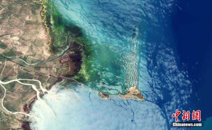 图为青海湖鸟岛地区2020年卫星遥感影像显示，大片裸露地区被湖水淹没。 青海省地质调查院卫星遥感中心 供图