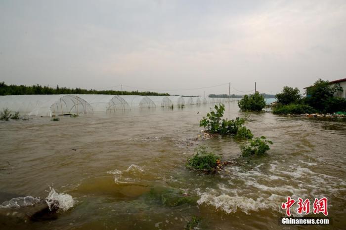 农业农村部：河南洪涝对粮食生产供给全局影响较为有限