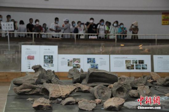 Hundreds more terracotta warriors unearthed outside Emperor Qinshihuang's Mausoleum