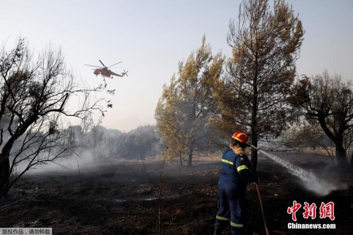 资料图：当地时间8月4日，希腊雅典北部Varympompi郊区野火肆虐。图为地面消防人员与空中直升飞机在火场灭火。