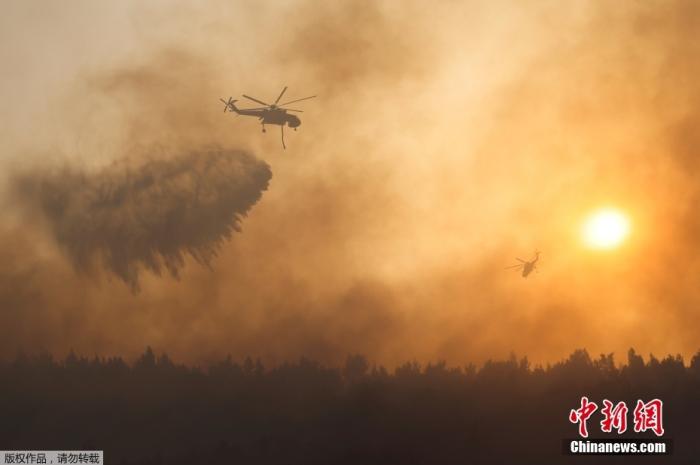 当地时间8月4日，希腊雅典北部Varympompi郊区野火继续肆虐。图为多架直升飞机洒水灭火。