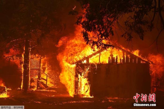 当地时间8月5日，山火肆虐过后，美国加利福尼亚州格林维尔镇大量建筑被焚毁。据当地工作人员介绍，大火烧毁了格林维尔的数十所房屋和企业，并继续向其他住宅社区蔓延。图为树林里一处小屋被点燃。