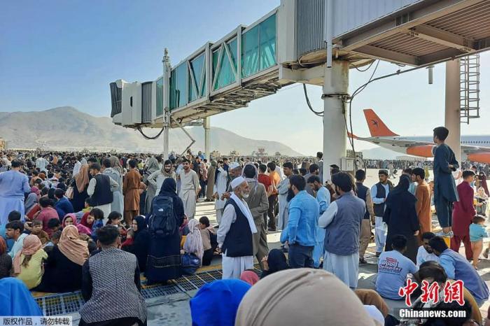 當地時間8月16日，等待撤離的人群聚集在阿富汗機場。