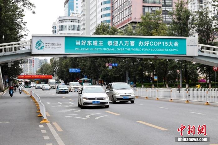 10月11日，云南省昆明市街头的COP15海报。当日，《生物多样性公约》缔约方大会第十五次会议(COP15)在云南省昆明市开幕。 中新社记者 李嘉娴 摄 　