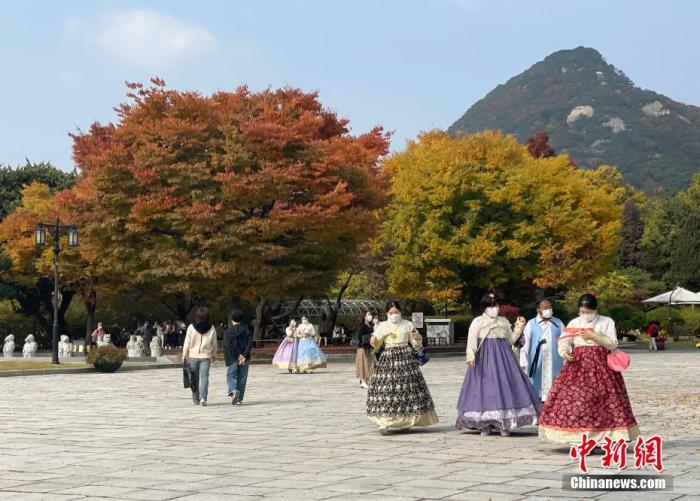 资料图：身着韩服的市民在韩国首都首尔的国立民俗博物馆内欣赏秋景。 <a target='_blank' href='/'>中新社</a>记者 刘旭 摄