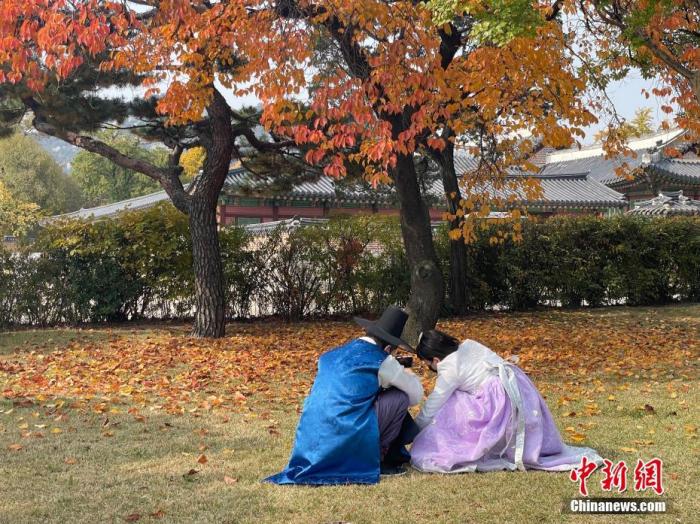 资料图：当地时间2021年10月31日，身着韩服的市民在韩国首都首尔的国立民俗博物馆内欣赏秋景。<a target='_blank' href='/'>中新社</a>记者 刘旭 摄
