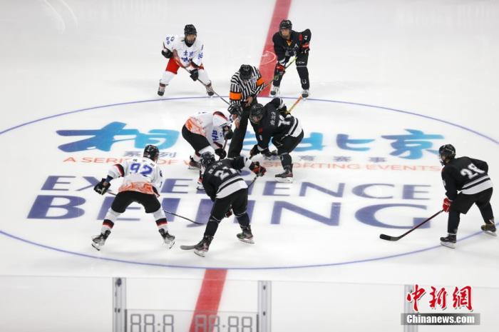 11月9日，“相约北京”冰球国内测试活动在北京五棵松体育中心继续进行，此次活动共有四支来自北京的男子冰球队参赛。图为北京极狐队(白)与中国冰上运动学院队比赛中。 中新社记者 富田 摄