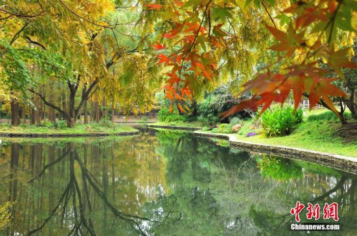 资料图：上海市共青森林公园风景如画。<a target='_blank' href='/'>中新社</a>发 周东潮 摄 图片来源：CNSPHOTO