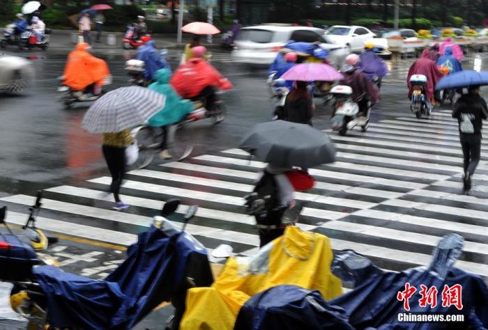 资料图:市民在雨中出行。 资料图:市民在雨中出行。