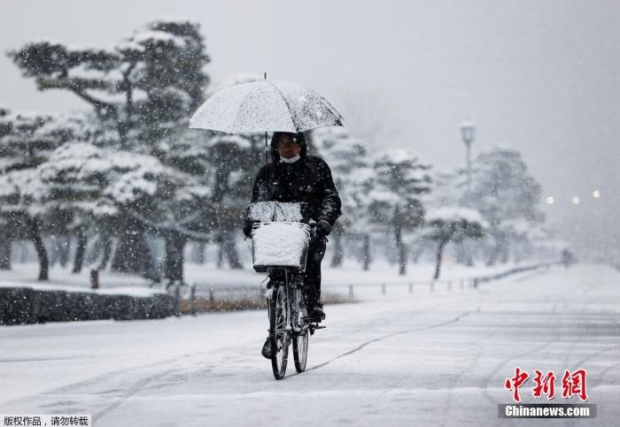 日本东京时隔近4年发布大雪警报 积雪达10厘米