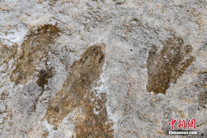 图为1月19日拍摄的西藏拉萨市堆龙德庆区德庆乡邱桑村邱桑温泉石灰岩上的“古人类手脚印”。 <a target='_blank' href='/'>中新社</a>记者 贡嘎来松 摄