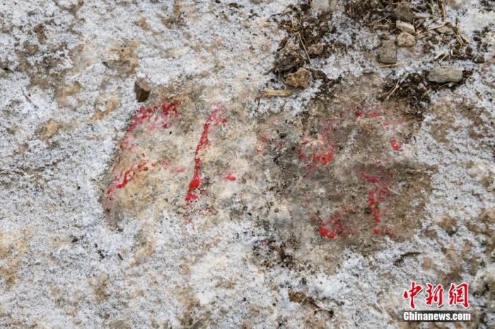 图为1月19日拍摄的西藏拉萨市堆龙德庆区德庆乡邱桑村邱桑温泉石灰岩上的“古人类手脚印”。 <a target='_blank' href='/'>中新社</a>记者 贡嘎来松 摄 　