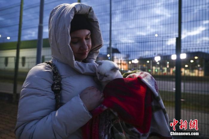 当地时间2月25日，一名带着猫的乌克兰妇女正在等待进入波兰。图片来源：视觉中国