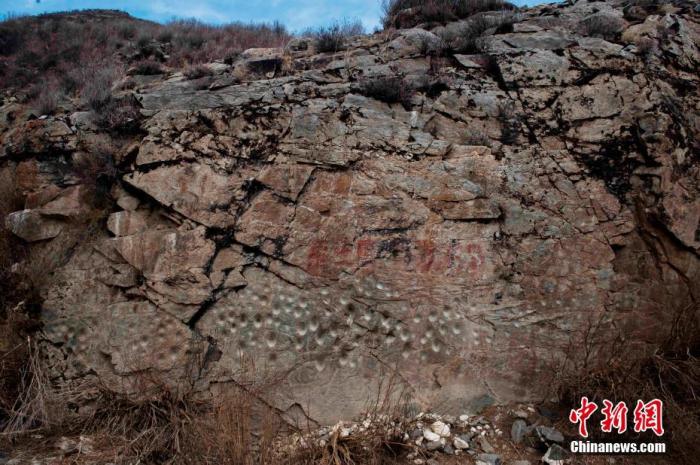 青海玉树现通天河最大凹穴岩画群 至少数千年历史