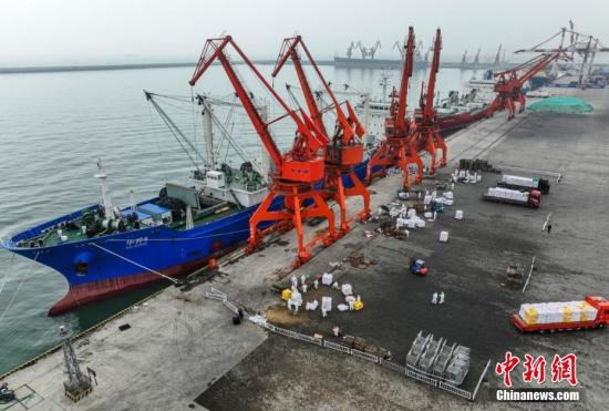 China's Hainan to resume fishery production as COVID-19 wanes