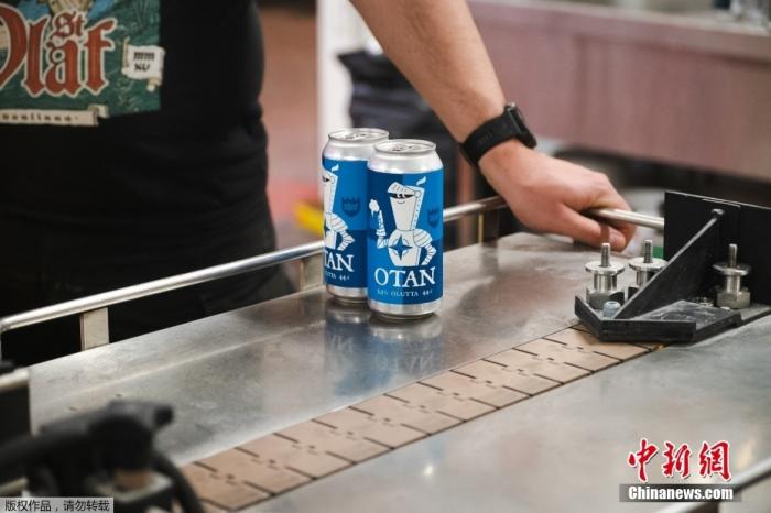 近日，芬兰萨沃林纳，Olaf brewing啤酒厂内，酿酒师在酿造新一批OTAN啤酒。为了庆祝芬兰申请加入北约军事联盟，Olaf Brewing公司推出了OTAN啤酒，OTAN是北约(NATO)的法语首字母缩写。图为Olaf brewing啤酒厂生产线上的“北约牌”啤酒。