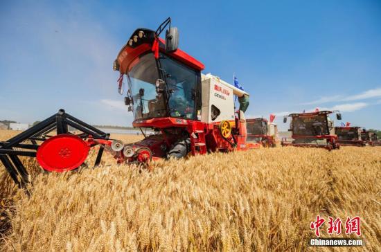 Summer grain production hits record high of 150 million tons