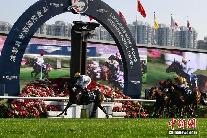 2021年12月12日，香港马匹“金枪六十”在香港赛马会举办的国际赛事中胜出。“金枪六十”以19次冠军成为香港史上夺冠最多的马匹。　 <a target='_blank' href='/'>中新社</a>记者 李志华 摄