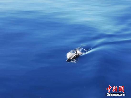 Fujian Coast Guard carries out patrols near Jinmen