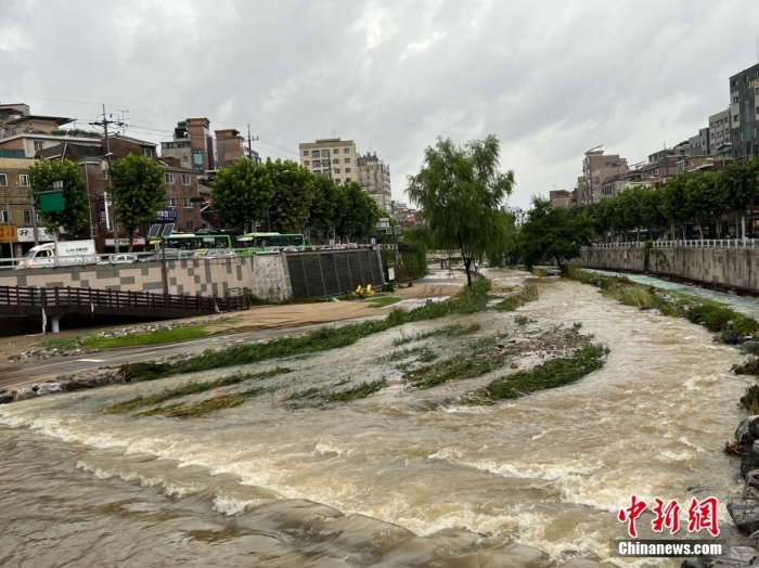 当地时间8月8日，韩国首都圈遭遇特大暴雨。图为8月9日，首尔市冠岳区道林川溪流水位上涨。 中新社记者 刘旭 摄