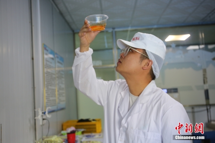 8月14日，广西柳州市螺蛳粉生产企业的一名试辣师正在对一批新生产的袋装螺蛳粉中的辣油包进行口味测试，在试吃之前试辣师先观看辣油的色泽和外观。 中新社记者 蒙鸣明 摄