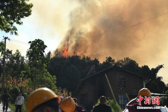 Carbon emissions of biomass burning quantified