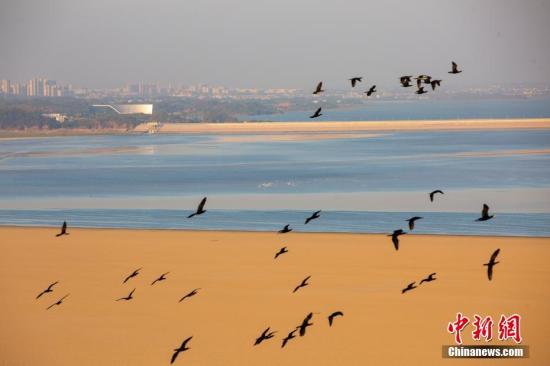 Legal experts review draft ecological code